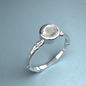 render of modelled ring